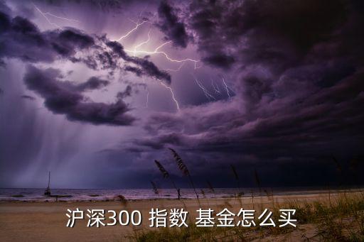 滬深300 指數(shù) 基金怎么買(mǎi)