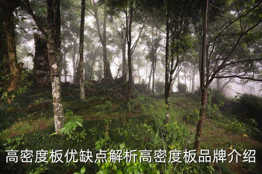 高密度板優(yōu)缺點解析高密度板品牌介紹