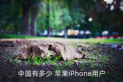 中國有多少 蘋果iPhone用戶