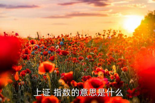 股票上證指數(shù)什么意思,上證指數(shù)主要受什么股票影響大