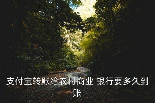 支付寶轉(zhuǎn)賬給農(nóng)村商業(yè) 銀行要多久到賬