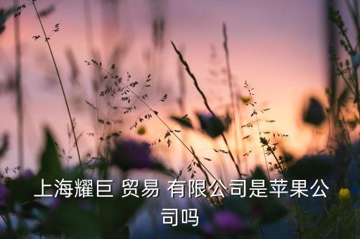 上海?x溢迫貿(mào)易有限公司,上海溢凱貿(mào)易有限公司怎么樣