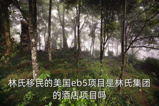 林氏移民的美國eb5項目是林氏集團的酒店項目嗎