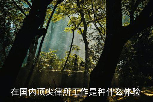 在國內(nèi)頂尖律所工作是種什么體驗