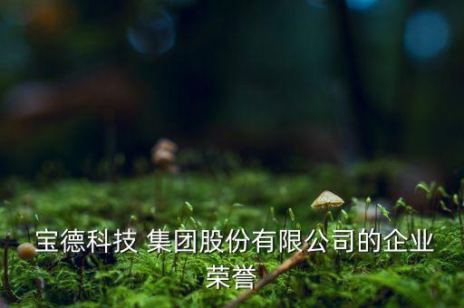  寶德科技 集團股份有限公司的企業(yè)榮譽