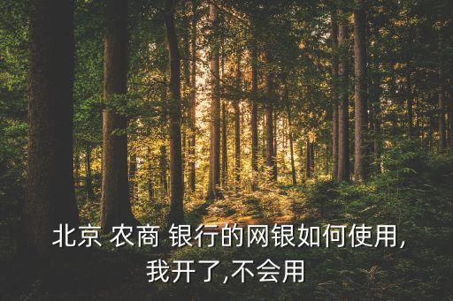 北京農(nóng)商銀行下載嗎,農(nóng)商銀行北京網(wǎng)點