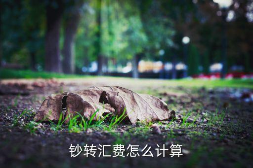 鈔轉(zhuǎn)匯費怎么計算