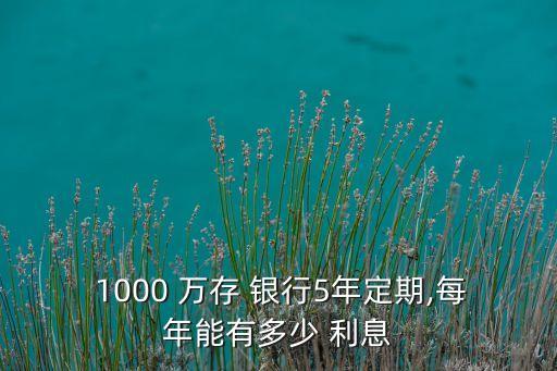  1000 萬存 銀行5年定期,每年能有多少 利息