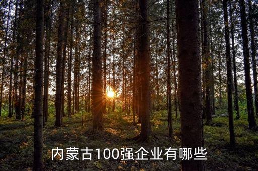 內(nèi)蒙古100強(qiáng)企業(yè)有哪些