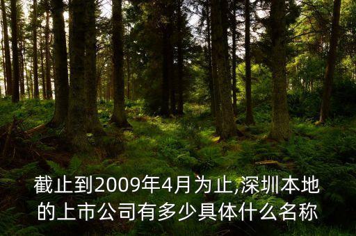 截止到2009年4月為止,深圳本地的上市公司有多少具體什么名稱