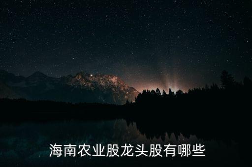 海南多規(guī)合一試點相關股票