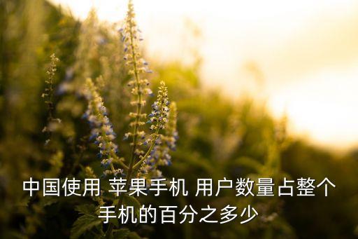 中國蘋果用戶數(shù),中國互聯(lián)網(wǎng)用戶數(shù)