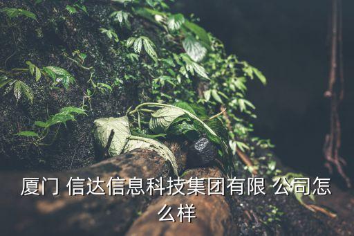 廈門 信達(dá)信息科技集團(tuán)有限 公司怎么樣