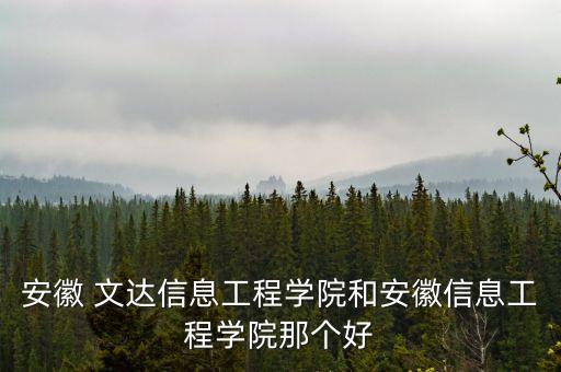 安徽 文達信息工程學院和安徽信息工程學院那個好