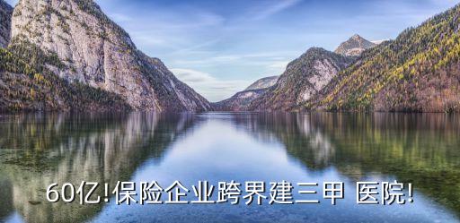 60億!保險企業(yè)跨界建三甲 醫(yī)院!