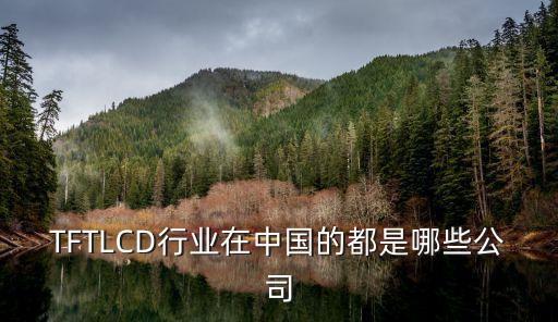 TFTLCD行業(yè)在中國的都是哪些公司