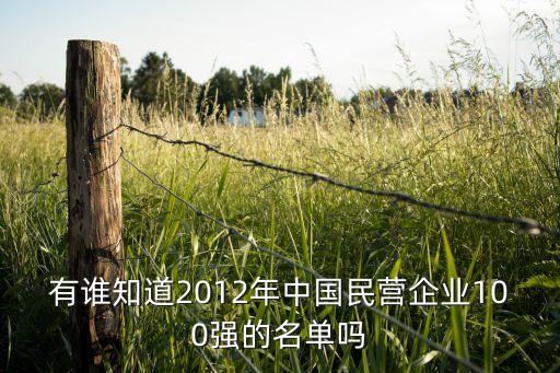 有誰知道2012年中國民營企業(yè)100強的名單嗎