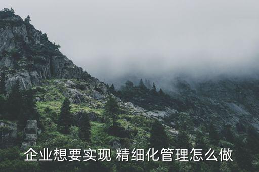 企業(yè)想要實(shí)現(xiàn) 精細(xì)化管理怎么做