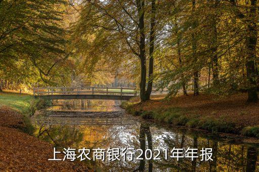  上海農商銀行2021年年報