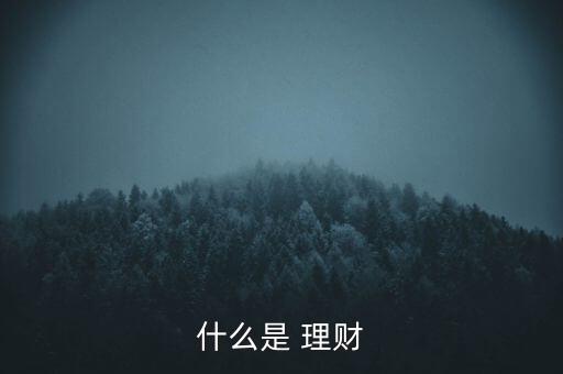 什么是 理財(cái)