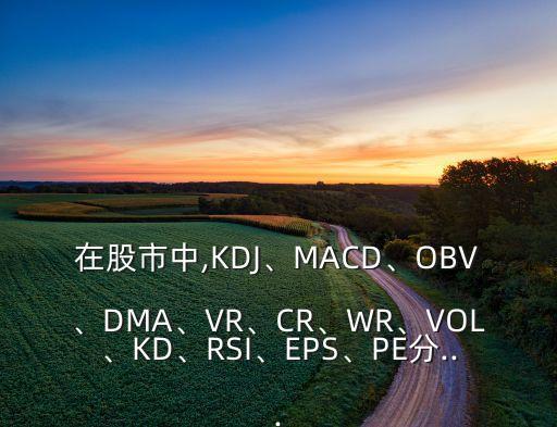 在股市中,KDJ、MACD、OBV、DMA、VR、CR、WR、VOL、KD、RSI、EPS、PE分...