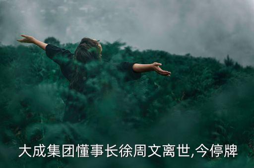 大成玉米集團(tuán)有限公司污染丑聞,西安大成玉米制品有限公司劉志斌