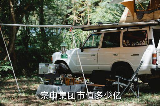 江蘇宗申派姆電動(dòng)機(jī)車有限公司