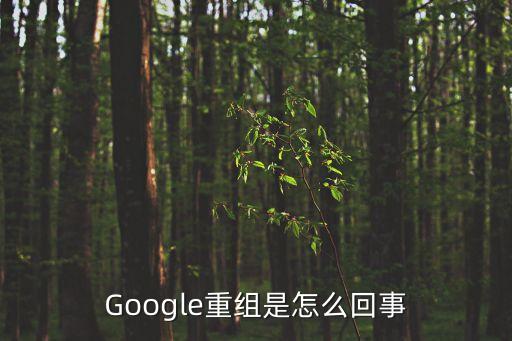 Google重組是怎么回事