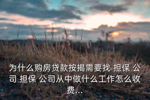 為什么購房貸款按揭需要找 擔(dān)保 公司 擔(dān)保 公司從中做什么工作怎么收費...