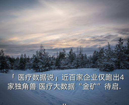 「 醫(yī)療數(shù)據(jù)說」近百家企業(yè)僅跑出4家獨(dú)角獸 醫(yī)療大數(shù)據(jù)“金礦”待啟...