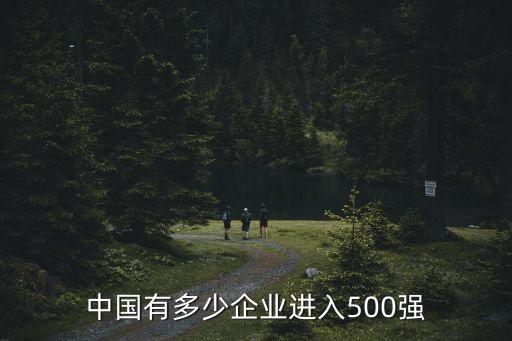 中國有多少企業(yè)進入500強