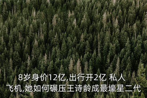 8歲身價12億,出行開2億 私人 飛機,她如何碾壓王詩齡成最壕星二代