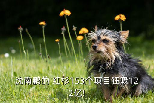 沈南鵬的 紅杉153個項目狂吸122億!