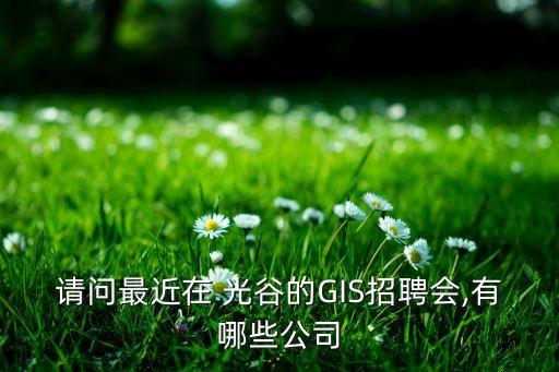 請(qǐng)問(wèn)最近在 光谷的GIS招聘會(huì),有哪些公司