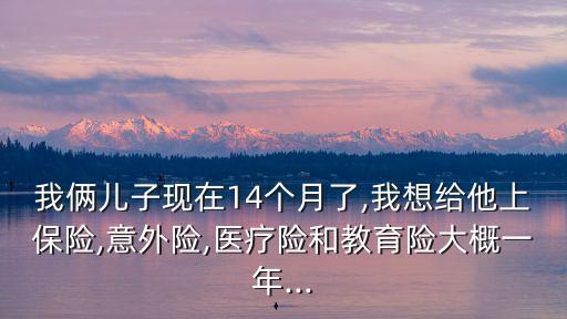 我倆兒子現(xiàn)在14個月了,我想給他上保險,意外險,醫(yī)療險和教育險大概一年...