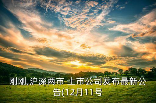 剛剛,滬深兩市 上市公司發(fā)布最新公告(12月11號