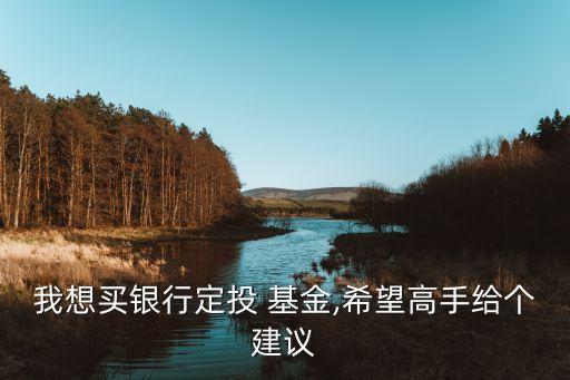 我想買銀行定投 基金,希望高手給個(gè)建議