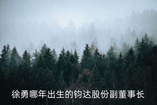 徐勇哪年出生的鈞達(dá)股份副董事長(zhǎng)