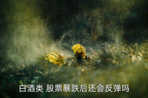 白酒類 股票暴跌后還會(huì)反彈嗎