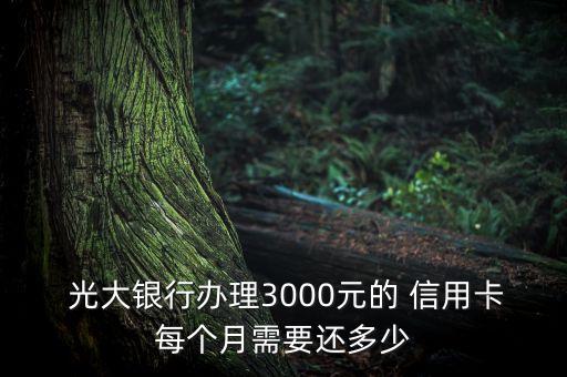  光大銀行辦理3000元的 信用卡每個月需要還多少