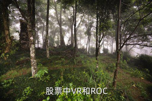 股票里vr指什么板塊,股票的估值是指什么