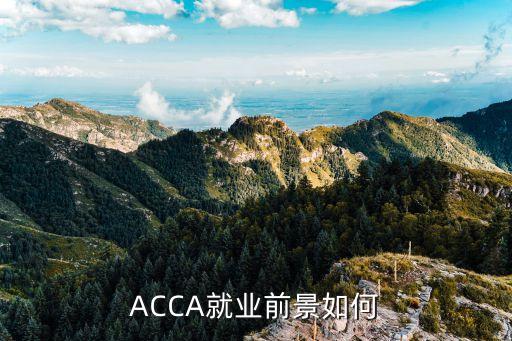 ACCA就業(yè)前景如何