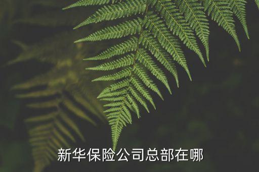  新華保險公司總部在哪