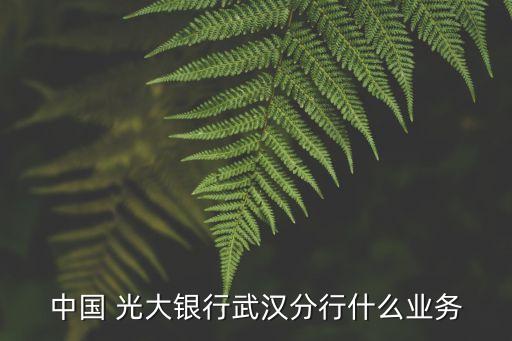 中國光大銀行可轉(zhuǎn)換公司債