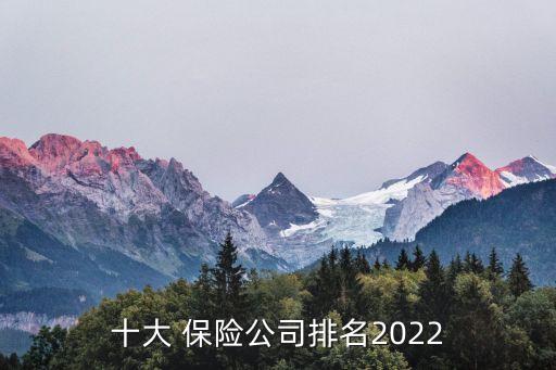 十大 保險(xiǎn)公司排名2022