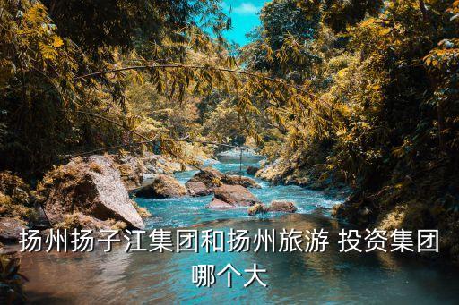 揚州揚子江集團(tuán)和揚州旅游 投資集團(tuán)哪個大