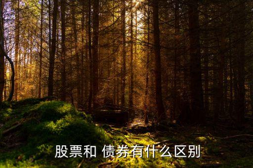  股票和 債券有什么區(qū)別