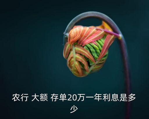 農行 大額 存單20萬一年利息是多少