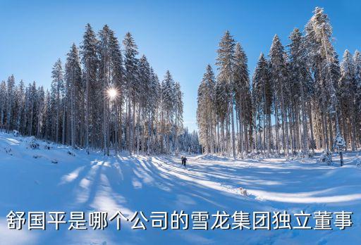 舒國平是哪個(gè)公司的雪龍集團(tuán)獨(dú)立董事