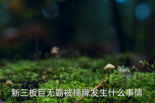 新三板巨無(wú)霸被摘牌發(fā)生什么事情